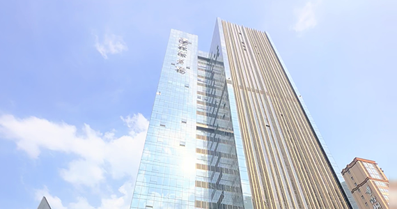 国内shop域名信息查询