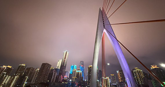 国内域名注册在哪里查询明细