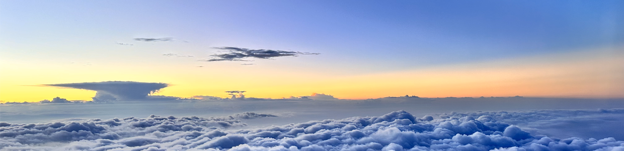 国内域名查询网